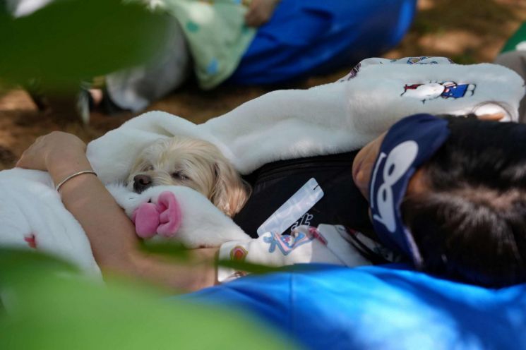 'Forest Deep Sleep Contest' for Busy Modern People Held Successfully