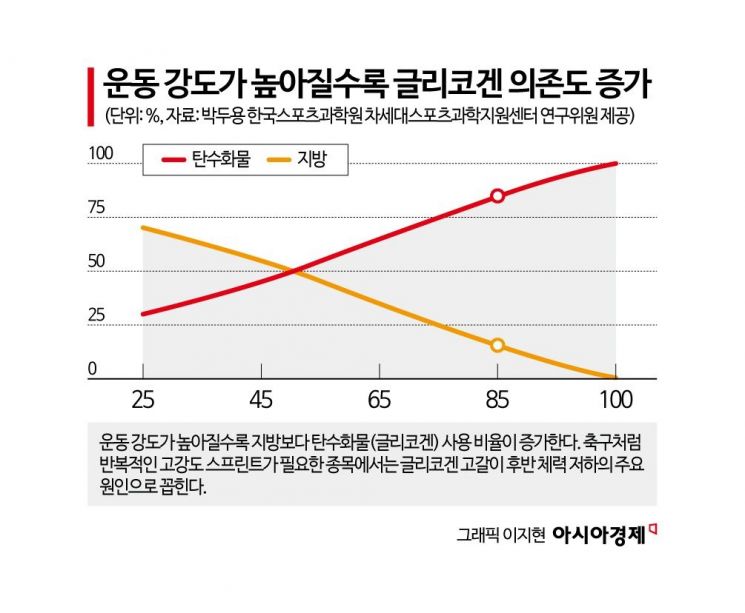 [사이언스 스코프]40도 폭염·1500m 고지대…월드컵은 '과학'과 싸운다
