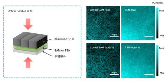 The perovskite thin film with the TSN interfacial layer applied exhibited much more uniform photoluminescence intensity compared to the conventional self-assembled monolayer (SAM). This indicates that the thin film was evenly formed and the defects causing charge loss were reduced, demonstrating advantages for the fabrication of high-efficiency, high-quality solar cells. Provided by the research team