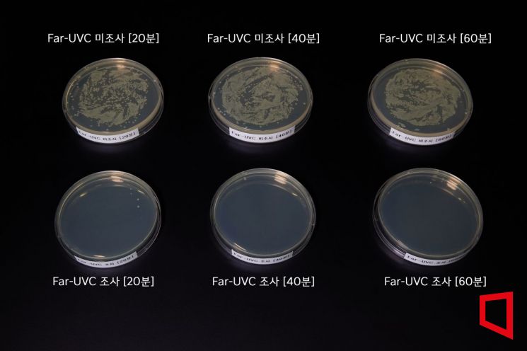 현대자동차·기아가 사람이 타고 있는 자동차의 실내 공간을 자외선(UVC)으로 살균하는 신기술 '플라즈마 케어 UVC'를 11일 공개했다. 플라즈마 케어 UVC 살균력 평가 결과. 현대차