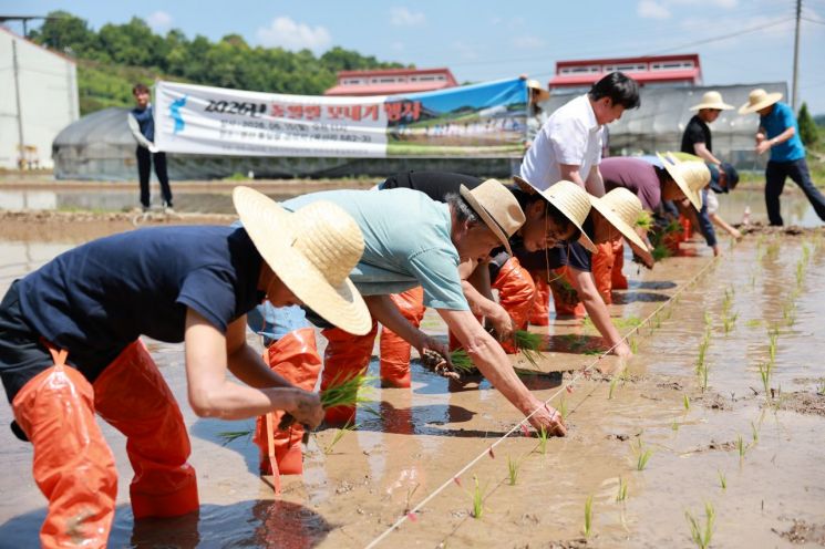 Unified Rice Planting Event Held in Jinju... Calls for Improvements in ...