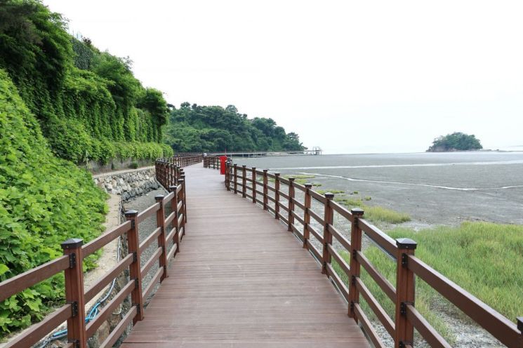 지난 26일 임시 개통한  ‘화성 황금해안길'. 화성시 제공