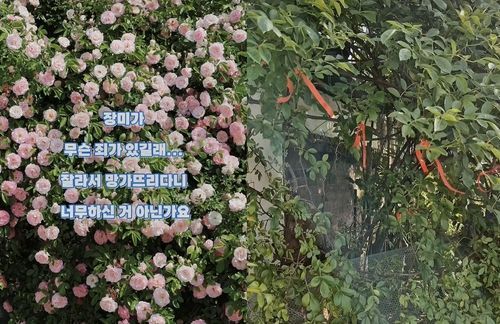 소유주가 절도 피해 지점을 표시해둔 모습(오른쪽). SNS 캡처