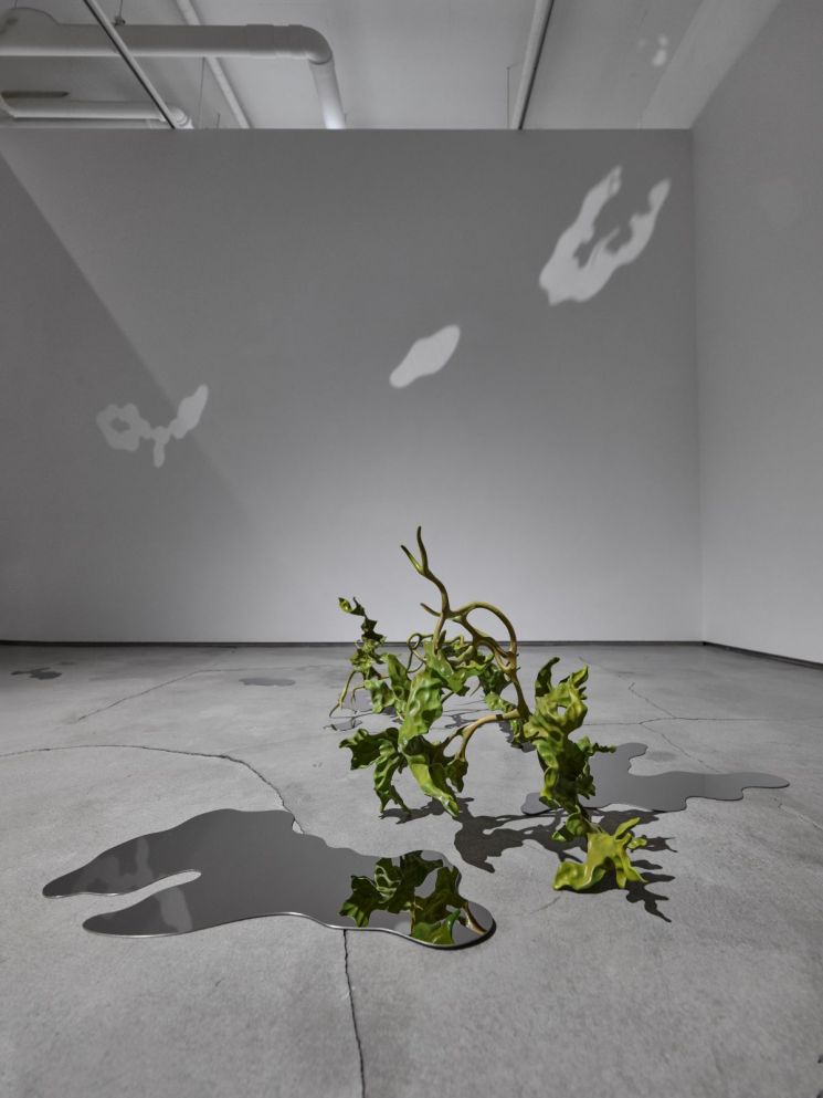 슈이 차오, Stone enters me, stainless steel, 60 x 52 x 34 cm, 2026. 지갤러리