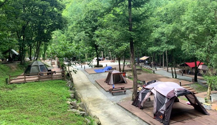 캠핑장 전경. 사진은 기사와 관계없음. 아시아경제DB