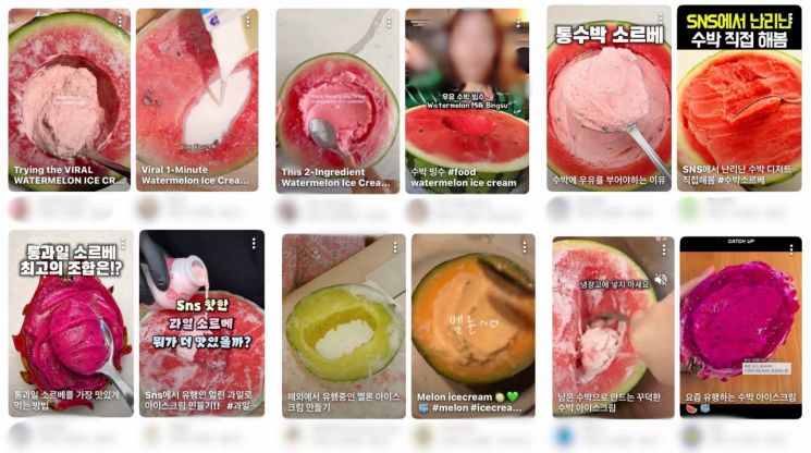 유튜브에는 통과일 소르베를 따라 만드는 영상과 응용 레시피가 다수 올라와 있다. 유튜브 캡처