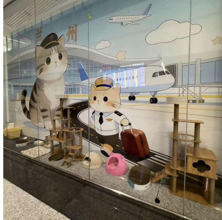 Recently, a story about a family of cats living at an airport has been spreading on Chinese social networking services (SNS), gaining popularity. The place where the cats live. Weibo, China.