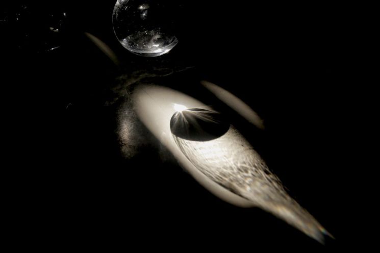 박은영, ‘Untitled’, 2026, 인터랙티브 설치.투명 구체와 물, LED, 센서가 관객의 움직임에 반응한다. 보이지 않던 생명의 기척은 이 작품에서 빛과 그림자, 미세한 흔들림으로 뒤늦게 몸을 얻는다. 한국장애인문화예술원 제공