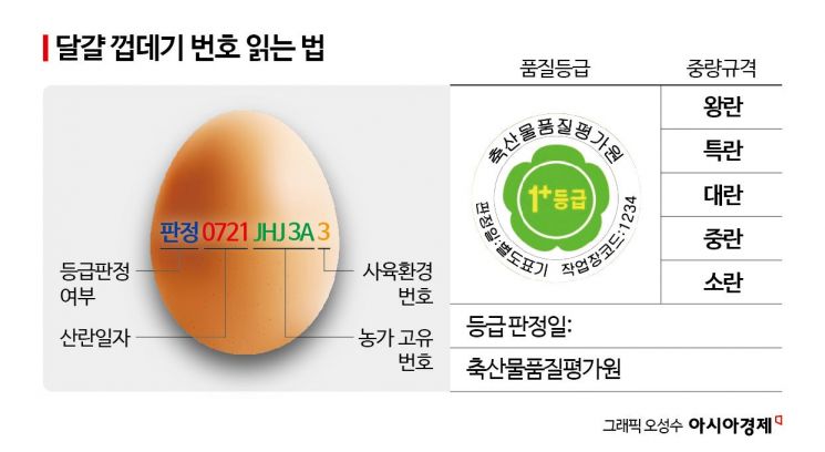 "몸에 좋다길래 1번 계란만 샀는데"…4번과 영양 차이 없다고?[맛잘알X파일]