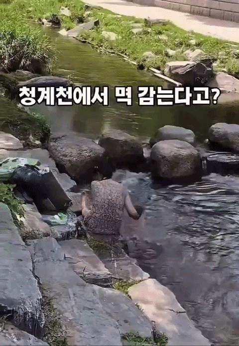 온라인 커뮤니티 캡처