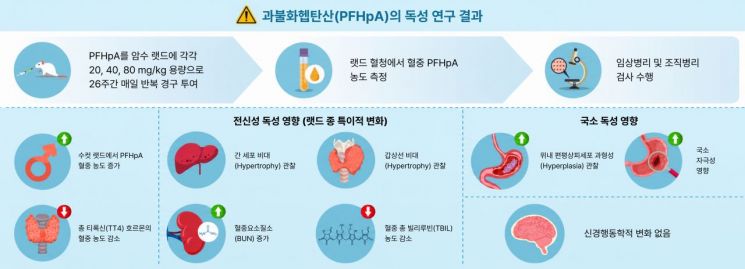 랫드를 이용한 PFHpA의 26주 반복투여 독성 평가 모식도. PFHpA를 암수 랫드에 26주간 반복 경구투여한 결과, 주요한 변화로 간 및 갑상선의 조직병리학적 병변, 위의 국소 자극성 변화 및 혈액생화학적 변화가 관찰됐다. 연구팀 제공