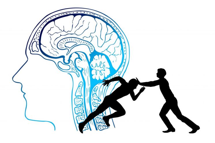 기사 이해를 돕기 위한 이미지. 픽사베이