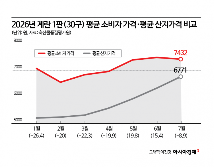 "내년 설까지는 가격 계속 오를 것" 한 판에 1만원 '금란'의 공습[계란 난맥상]①