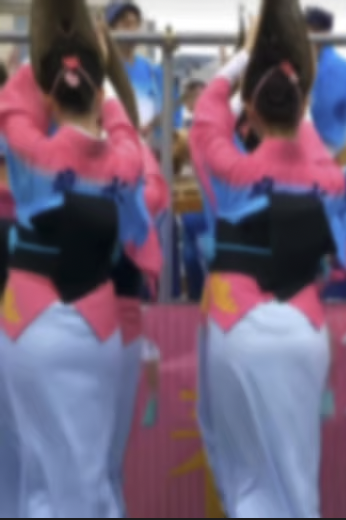 요미우리신문이 문제의 계정을 확인한 결과 게시물 대부분이 아와오도리 영상이었으며, 촬영 대상 역시 여성 무용수에게 집중돼 있었다. SNS