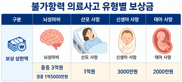 '불가항력 분만사고' 국가보상 확대…산모 중증장애도 포함