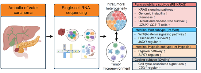 Samsung Medical Center Presents World's First