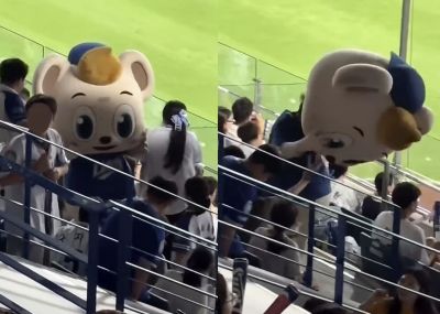 프로야구 경기장에서 한 관중이 구단 마스코트를 뒤에서 밀치는 모습이 담긴 영상이 확산하면서 논란이 일었다. 사회관계망서비스(SNS) 캡처