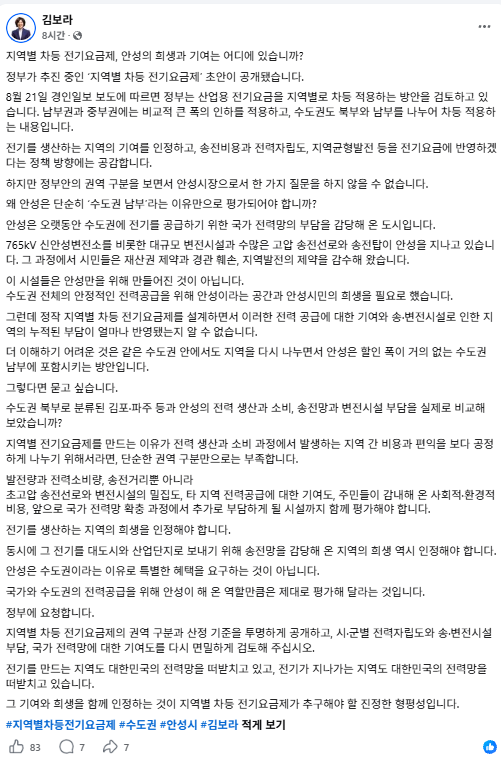김보라 안성시장 페이스북홈페이지 캡처