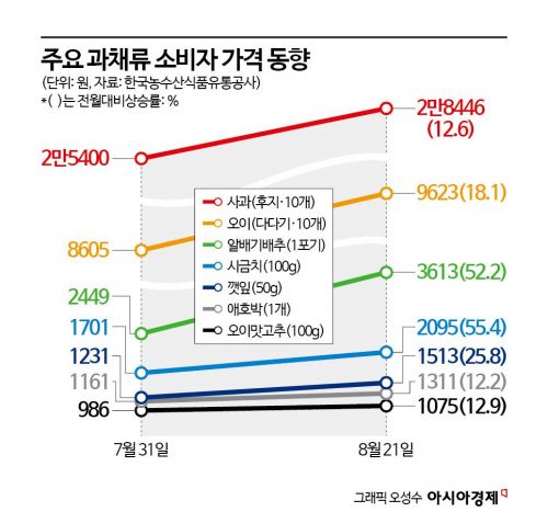 "시금치 한단 7000원" 폭염·호우에 치솟는 채솟값…가공식품도 '도미노 인상'