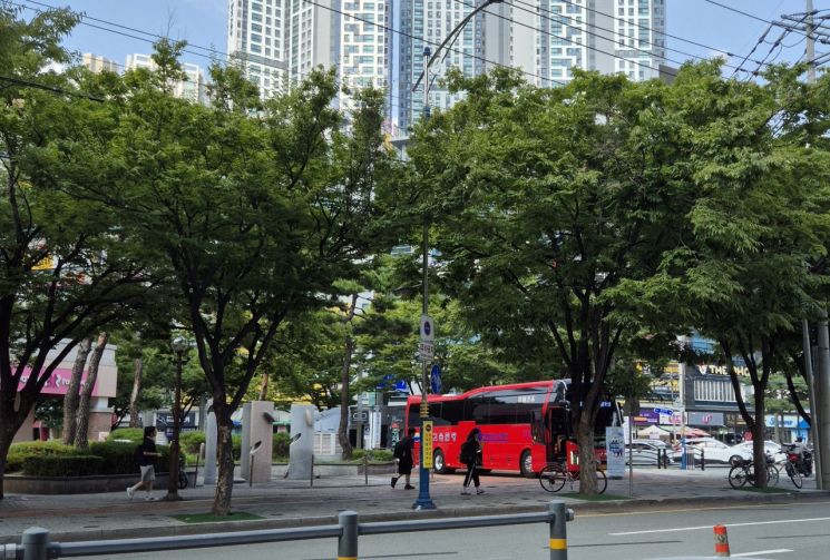 대구시 북구 침산네거리에 서있는 폭염버스. 나무숲 뒤쪽에 보이는 아파트에 추경호 대구시장이 살고 있다.