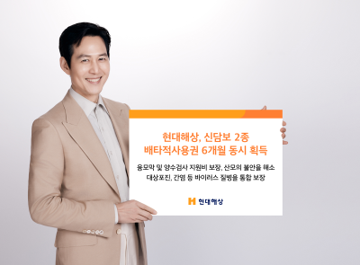 현대해상, 산모·바이러스질병 신담보 2종 배타적사용권 6개월 획득