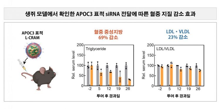 생쥐에서 확인한 L-CRAM의 혈중 지방 감소 효과. 이종범 서울시립대 교수