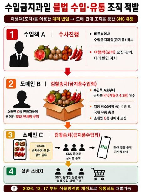 "구아바·람부탄 '포터' 하실분?"…여행객 통한 불법수입 일당 적발