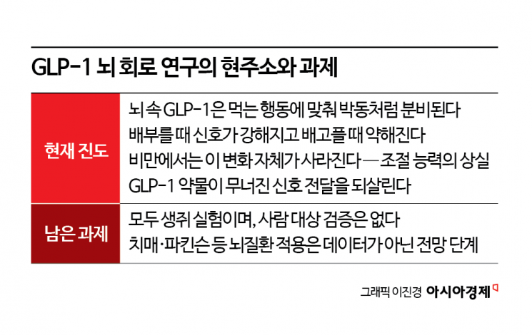 [굿브레인 2026]"GLP-1의 설계도 밝혀져…뇌질환 적용 '성큼'"