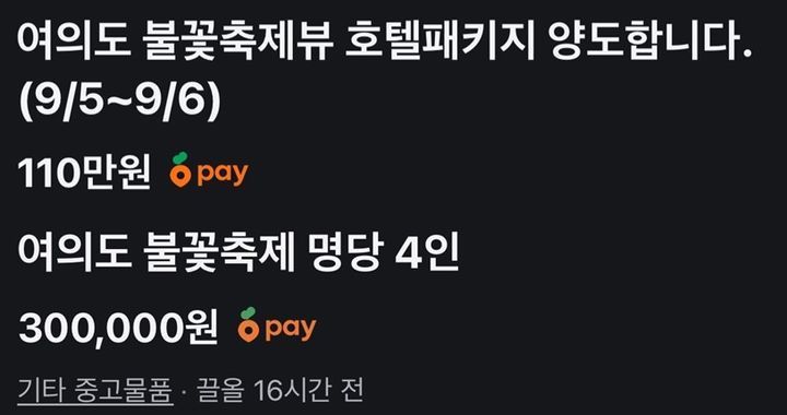 서울세계불꽃축제를 앞두고 높은 가격에 불꽃축제가 보이는 곳의 숙박시설, 명당 자리 등을 판매하거나 대여한다는 글이 잇따르고 있다. 당근마켓 캡처