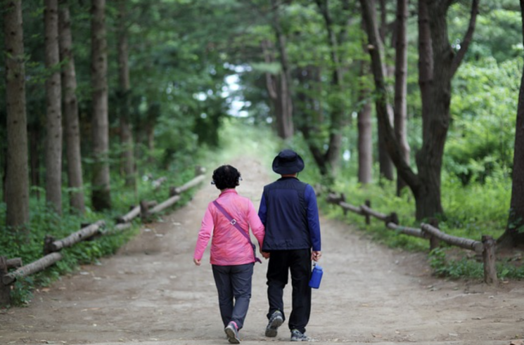 사진은 기사의 특정 내용과 관련 없음. 픽사베이