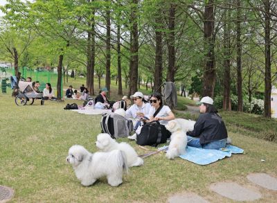 전북 임실군은 지난 5일 반려견을 동반한 관광객 20팀을 대상으로 ‘반려동물 동반 펫투어’를 운영했다. 임실군청 제공