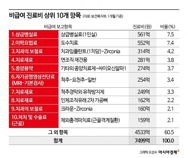 병원급 비급여 진료비 월 7500억원…도수치료·1인실 병실료에 집중