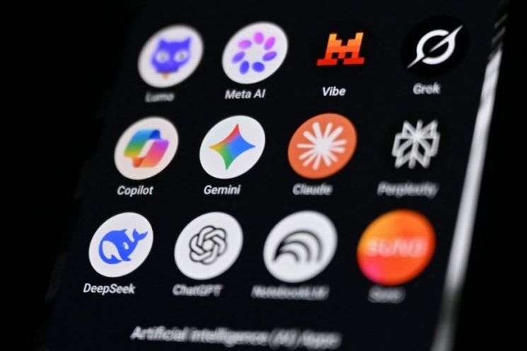 인공지능(AI) 모델. AFP 연합뉴스