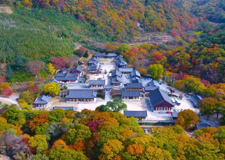 밀양시, 추석 연휴 가족 나들이 명소 5곳 추천( 표충사).[사진제공=밀양시]