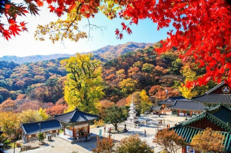 산빛 감돌고 강물 굽이치는 곳…가을, 양평에 물들다