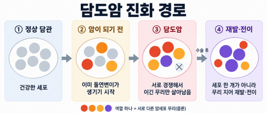 담도암 진화 경로를 나타낸 그래픽. 분당서울대병원