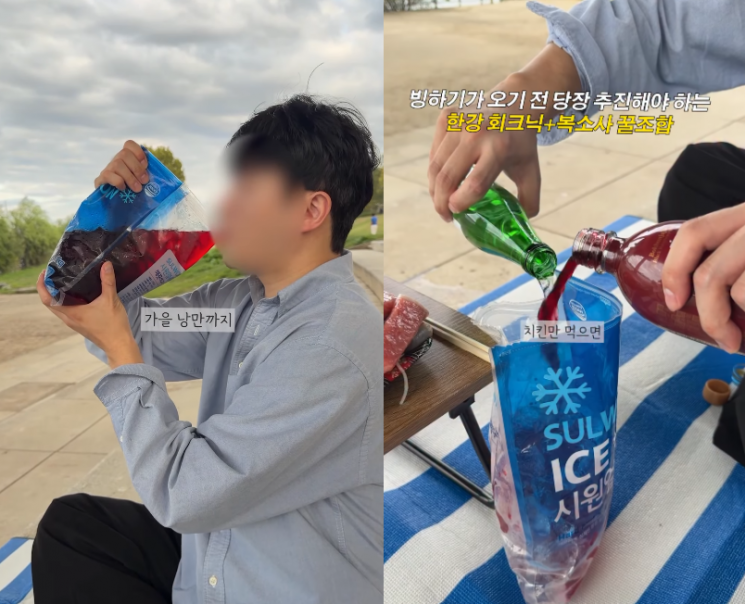 '복소사(복분자+소주+사이다)'를 회와 곁들이고 있다. 인스타그램 캡처