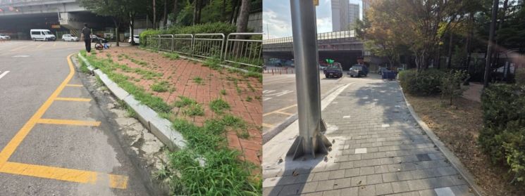 서강나루공원 인근 보도블럭 정비 전과 후 모습. 마포구 제공.