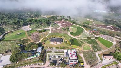 38만㎡에 이르는 구절초 축제장은 구절초정원과 참여정원, 물결정원, 들꽃정원, 솔숲정원으로 나뉜다. 정읍시청 제공