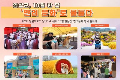 임실군은 제2회 동물보호의 날(10월 4일)을 맞아 10월 한 달 동안 반려인과 비반려인이 함께 즐기고 체험할 수 있는 다채로운 반려문화 행사를 잇따라 연다고 밝혔다. 임실군청 제공