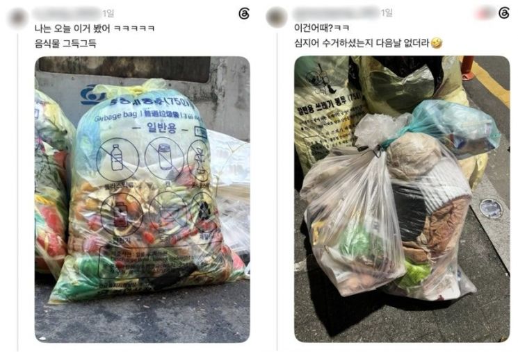 게시물에 달린 댓글들. 스레드 캡처