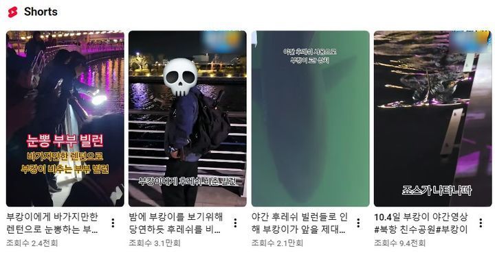 친수공원 일대를 순찰하며 부캉이를 지키는 장면을 촬영한 유튜버들. 유튜브 캡처