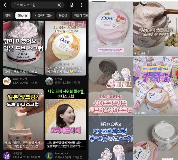 유튜브, 인스타그램 도브 바디스크럽 검색 화면 캡처