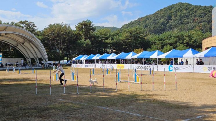 지난 9일부터 11일까지 춘천시 서면 애니메이션박물관 일원에서 열린 ‘2026 제6회 춘천 반려동물 페스티벌’에서 방문객들이 반려견과 함께 축제를 즐기고 있다. 춘천시 제공
