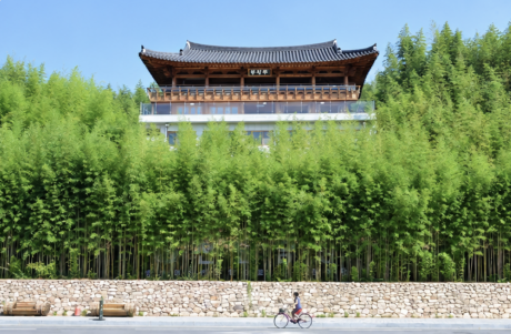 [이번 주말엔]대숲 바람따라, 갈대숲 노을길을 거닐다 - 뉴스 썸네일 이미지