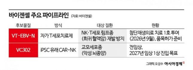 [Bio Story]①면역세포 진화력에서 가능성 본 바이젠셀, '첨생 첫 치료' 성과