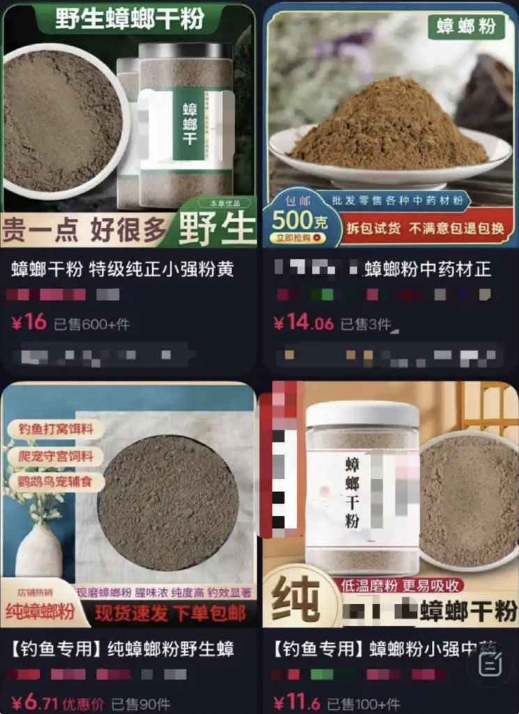 중국에서 단백질 대체품으로 주목받고 있는 바퀴벌레 분말. 중국 바이두,