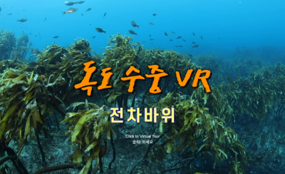 신규 수중 VR(전차바위) 화면.
