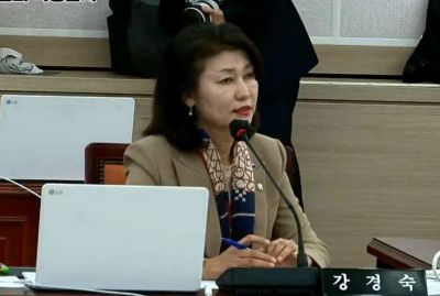 강경숙 조국혁신당 의원