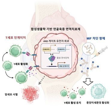 유전자 회로와 종양미세환경 조절 항체를 통한 연골육종 면역치료 기전. 연구팀 제공